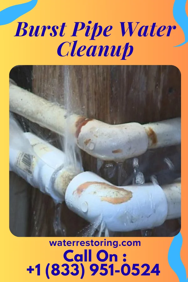 Burst Pipe Water Cleanup in Landis, NC