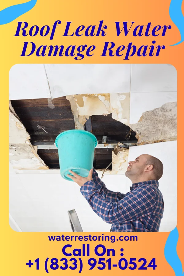 Roof Leak Water Damage Repair in Landis, NC