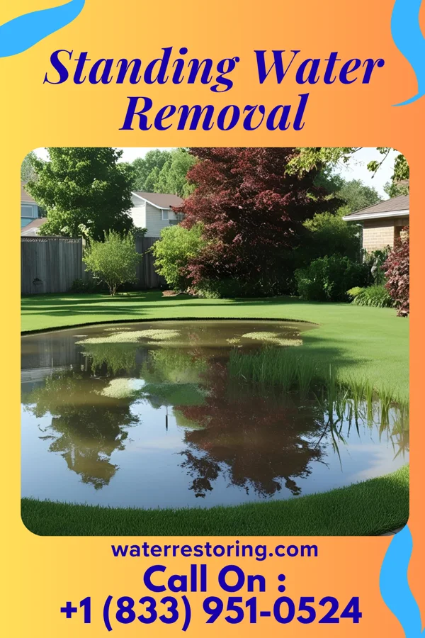 Standing Water Removal in Landis, NC